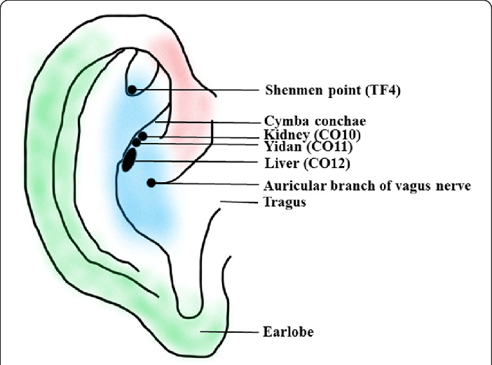 braingym-estimulaci-n-del-nervio-vago-para-generar-relagaci-n-con